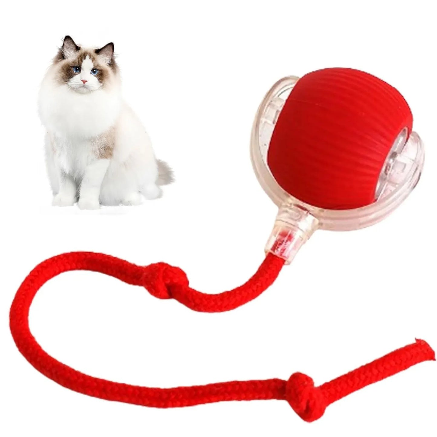 Lettuce Interactive Cat Toys