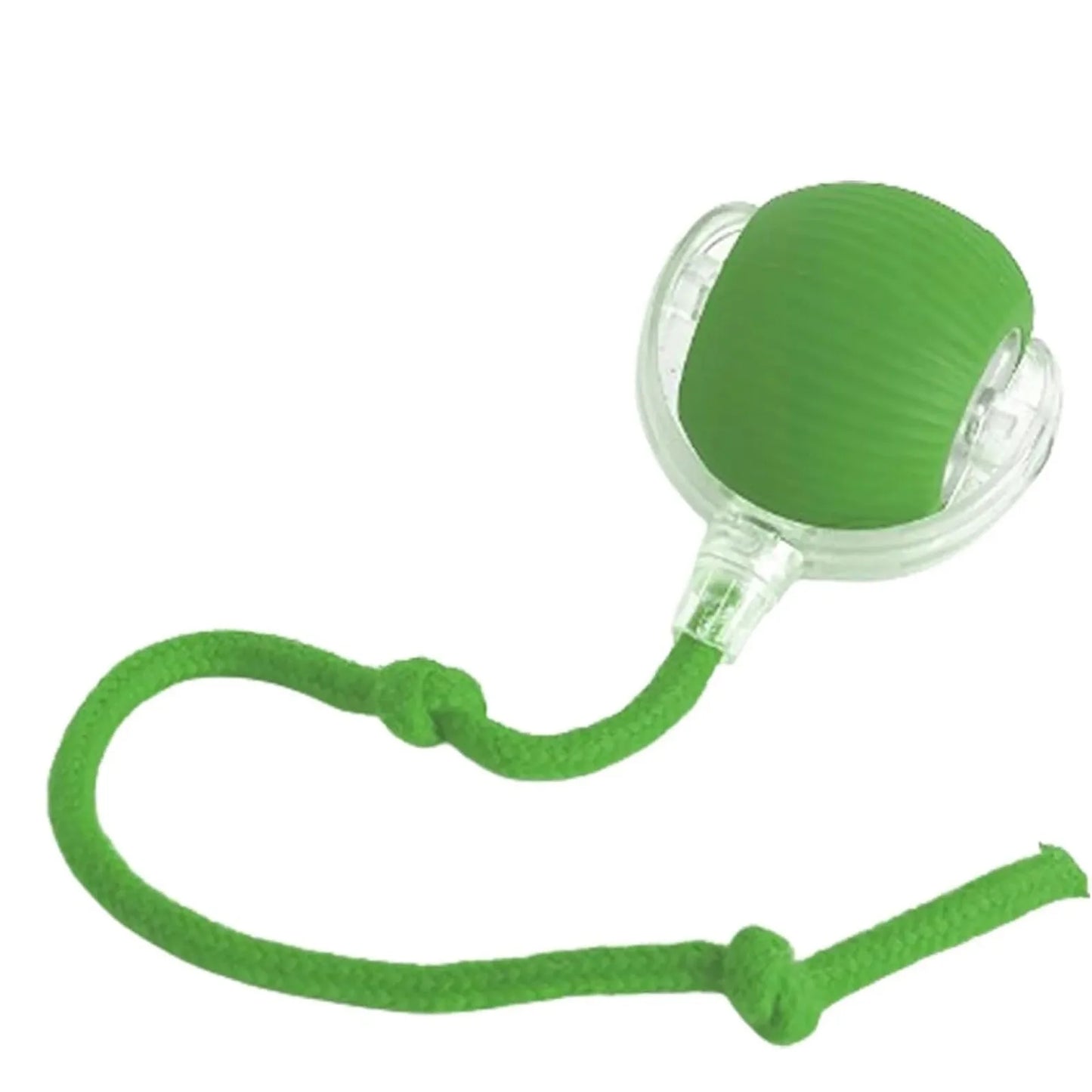 Lettuce Interactive Cat Toys