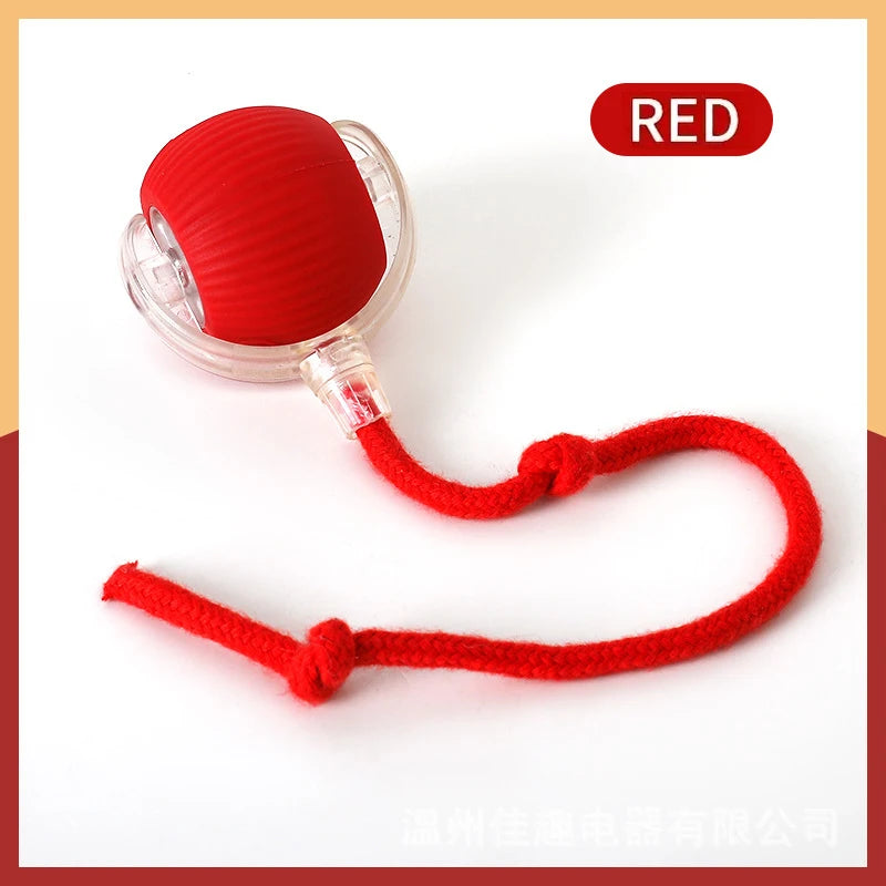 Smart Dog Toy Ball Electronic