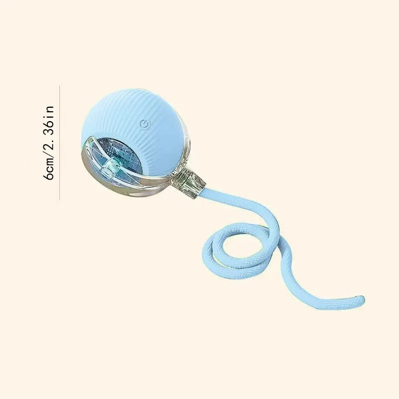 Smart Dog Toy Ball Electronic