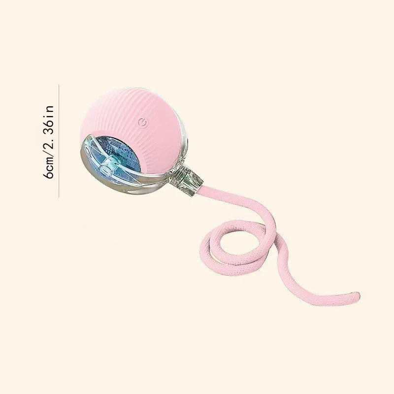 Smart Dog Toy Ball Electronic