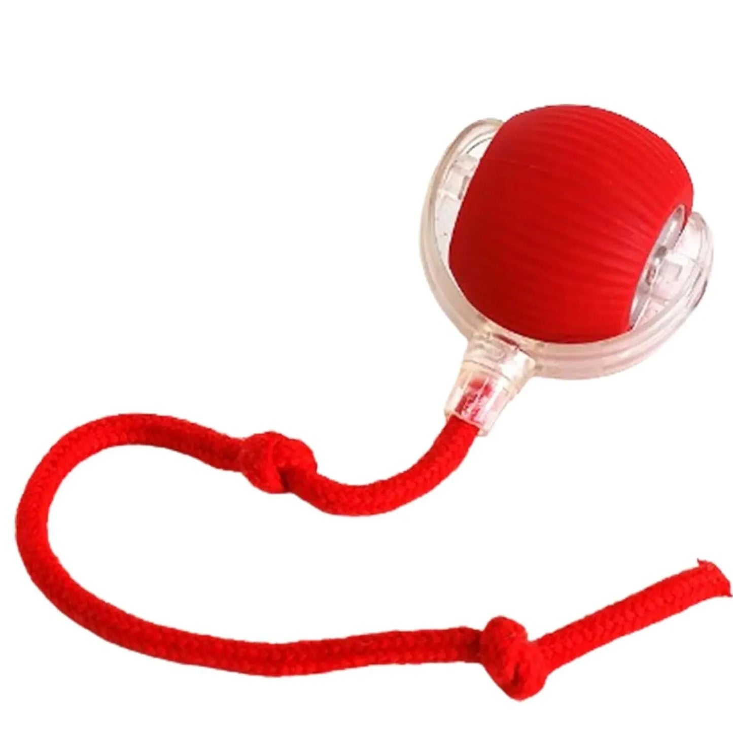 Lettuce Interactive Cat Toys