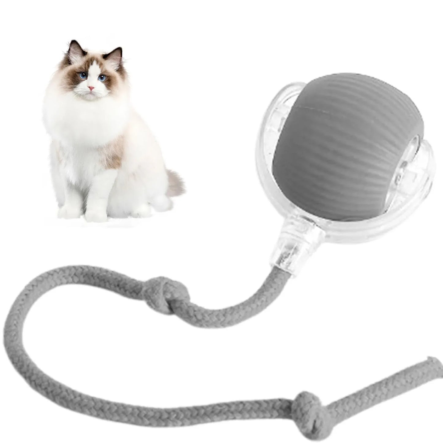 Lettuce Interactive Cat Toys
