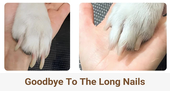 4Different Blades Pet Hair