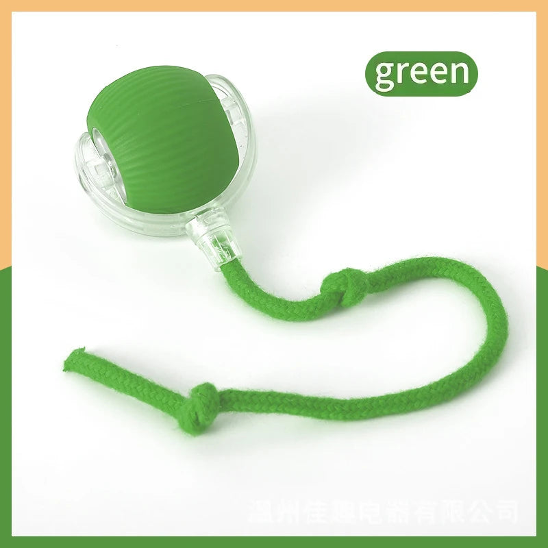 Smart Dog Toy Ball Electronic