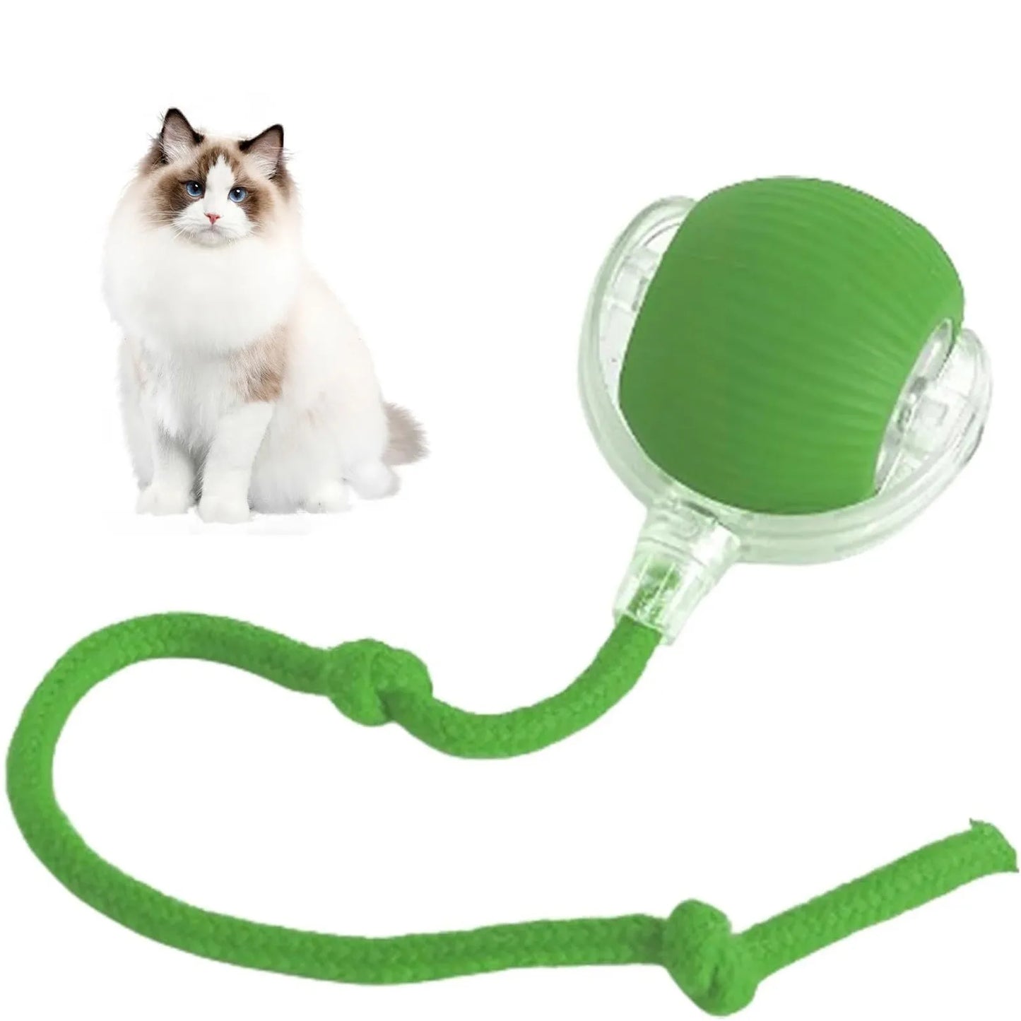 Lettuce Interactive Cat Toys